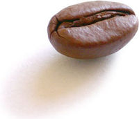 bean.jpg