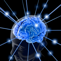 brain-not.jpg